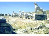 Delos - the archaic lions (c. 800 BC) overlooking the sacred lake